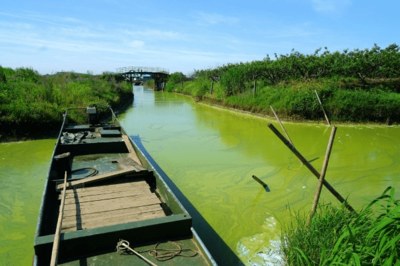 太湖落日，美中不足的遺憾