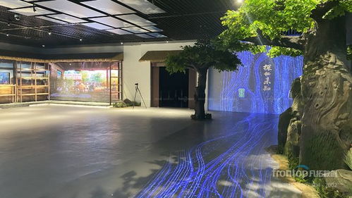 數字創意先鋒，國際榮耀加冕 凡拓數創趙崇光榮獲idpa award top100國際影響力創新設計師大獎